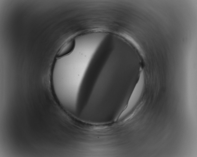 X0000089731325200707121442