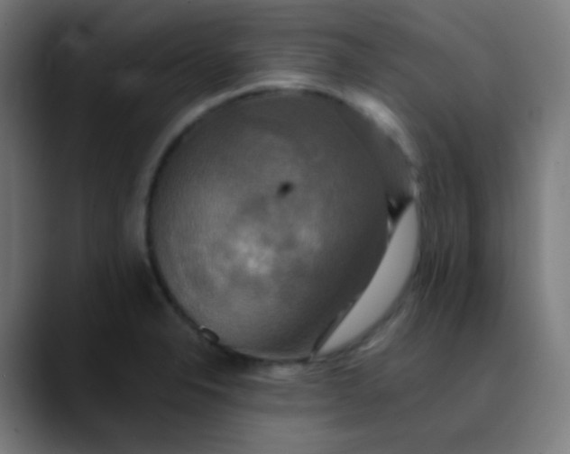 X0000089731326200707121442
