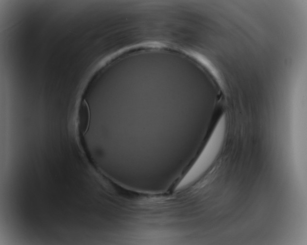 X0000089731327200707121442