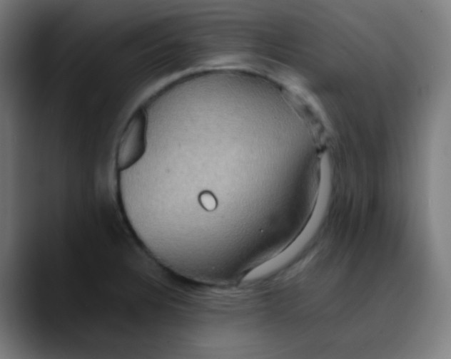 X0000089731328200707121442