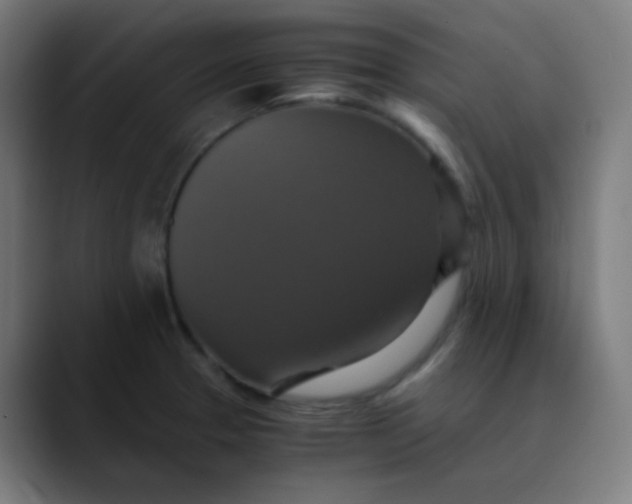 X0000089731329200707121442