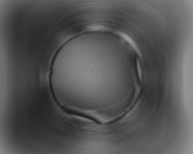 X0000089731330200707121442
