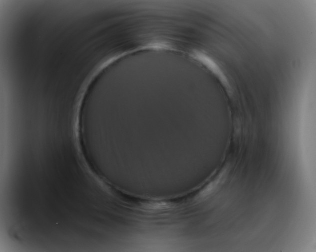 X0000089731331200707121442