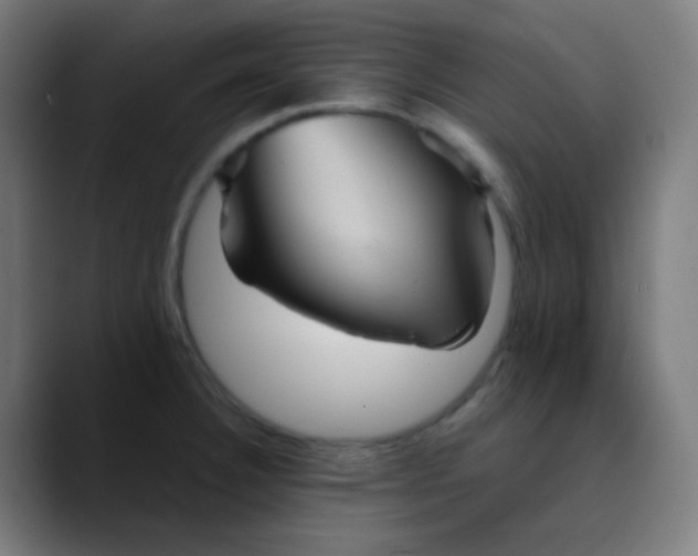 X0000089731332200707121442