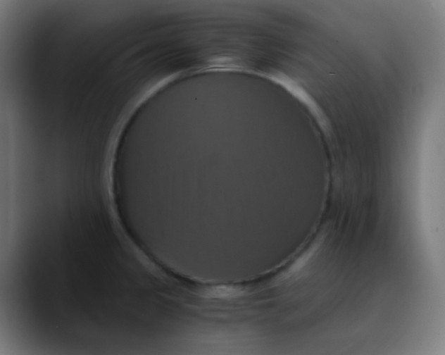 X0000089731333200707121442
