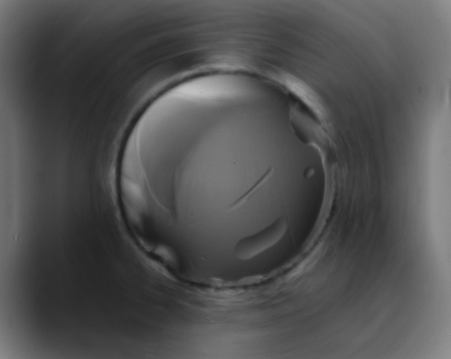 X0000089731334200707121442