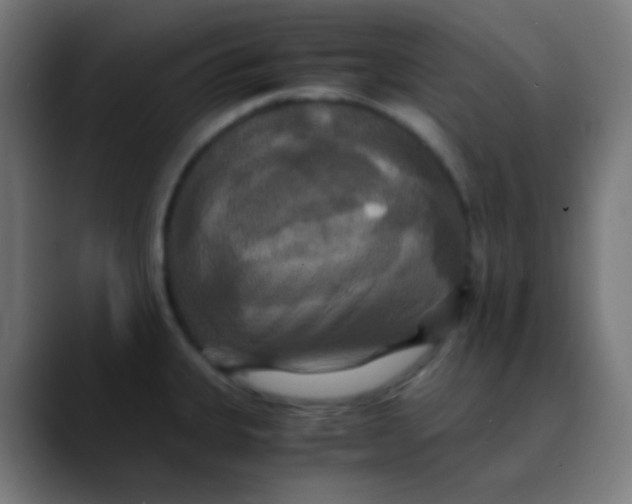 X0000089731335200707121442