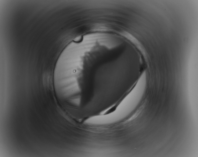 X0000089731337200707121442