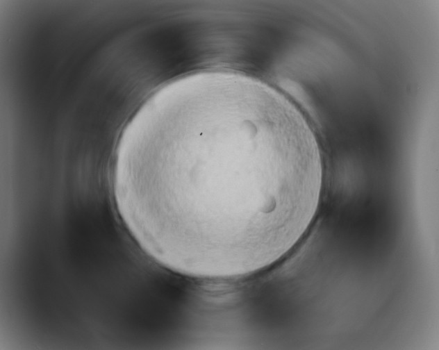 X0000089731338200707121442