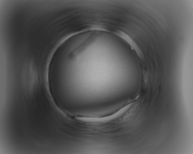 X0000089731339200707121442