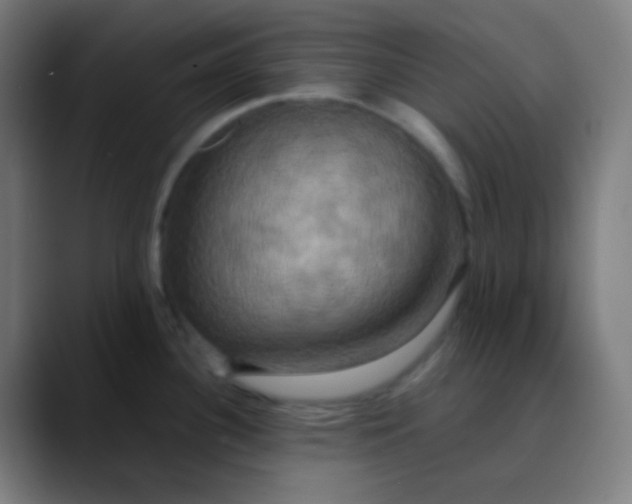 X0000089731340200707121442