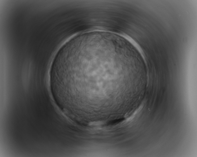 X0000089731341200707121442