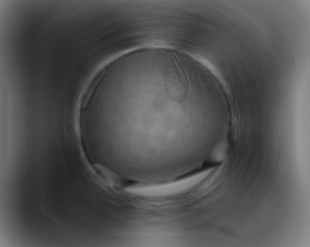 X0000089731342200707121442