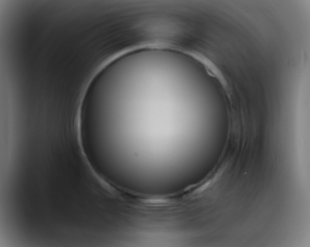 X0000089731343200707121442