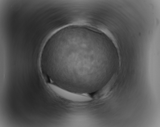 X0000089731344200707121442