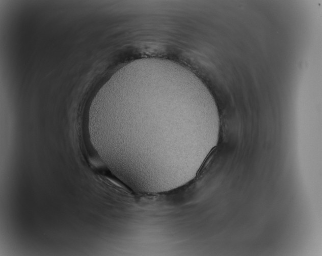 X0000089731345200707121442