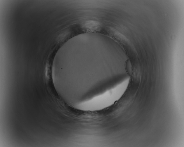 X0000089731346200707121442