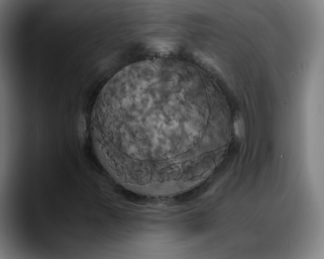 X0000089731347200707121442