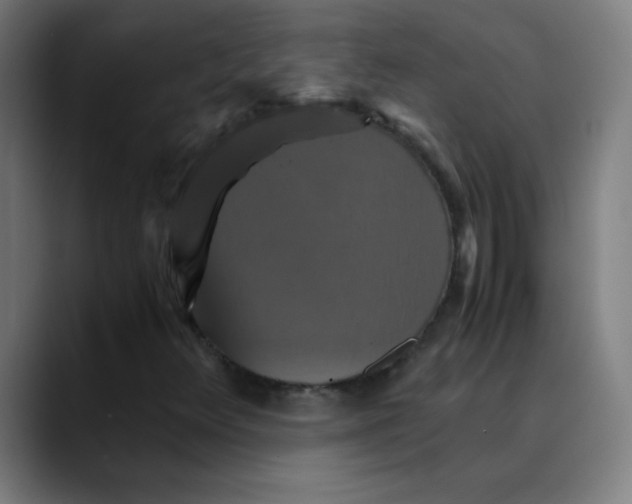 X0000089731348200707121442
