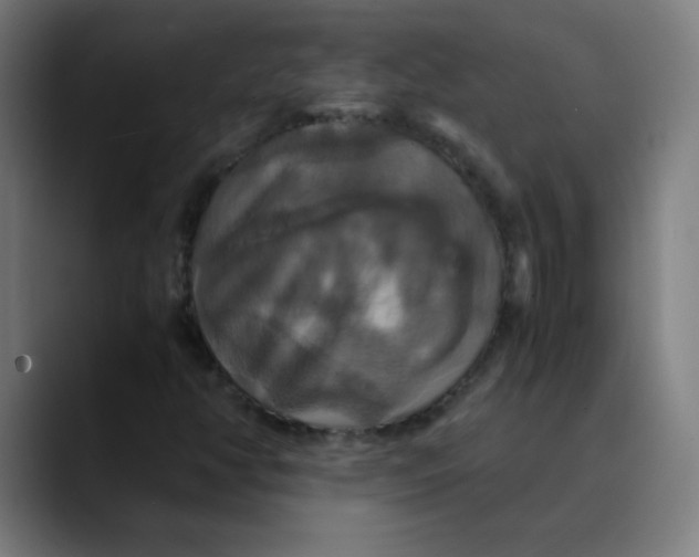 X0000089731350200707121442