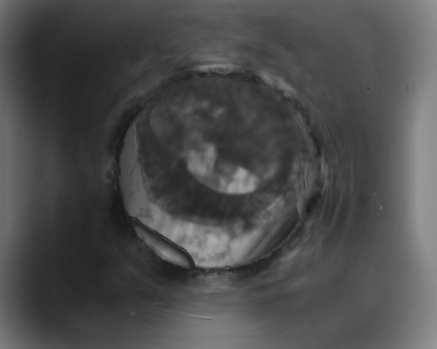 X0000089731351200707121442