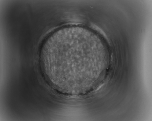 X0000089731352200707121442
