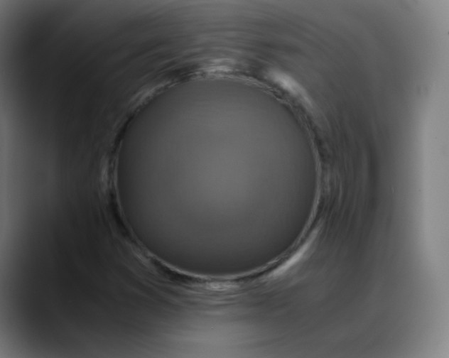 X0000089731353200707121442