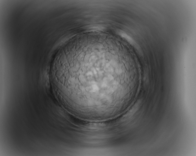 X0000089731354200707121442