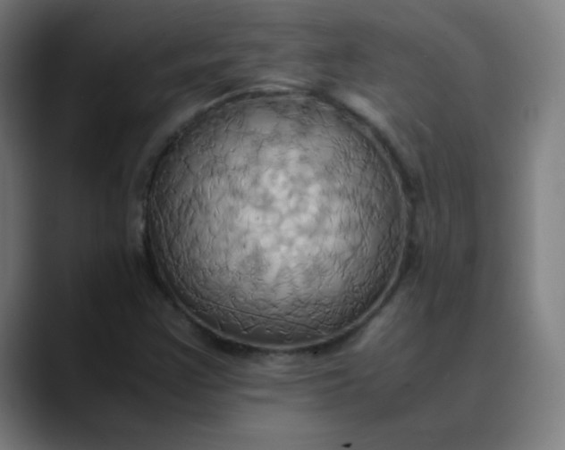 X0000089731355200707121441