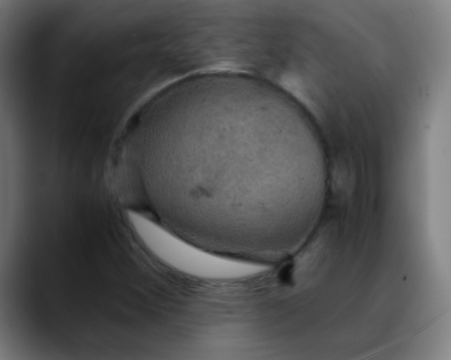 X0000089731356200707121441