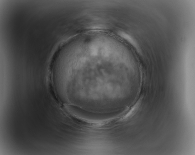 X0000089731357200707121441