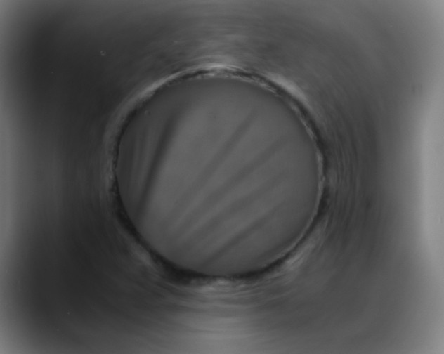X0000089731359200707121441