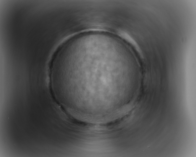 X0000089731360200707121441