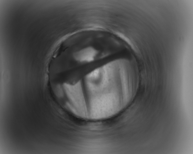 X0000089731363200707121441