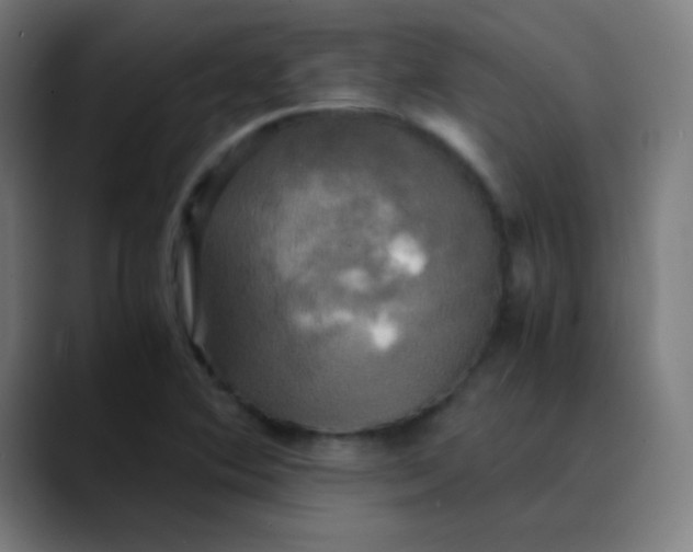 X0000089731364200707121441