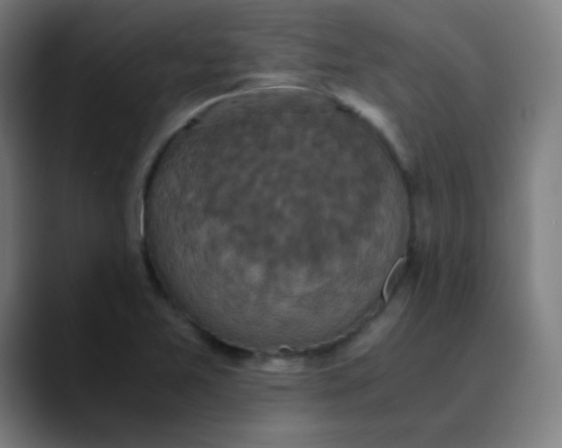 X0000089731365200707121441