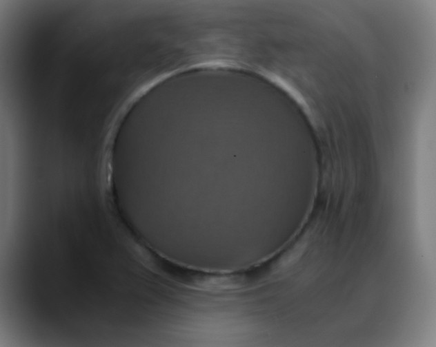 X0000089731367200707121441