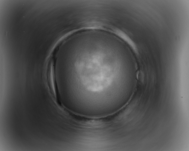 X0000089731368200707121441