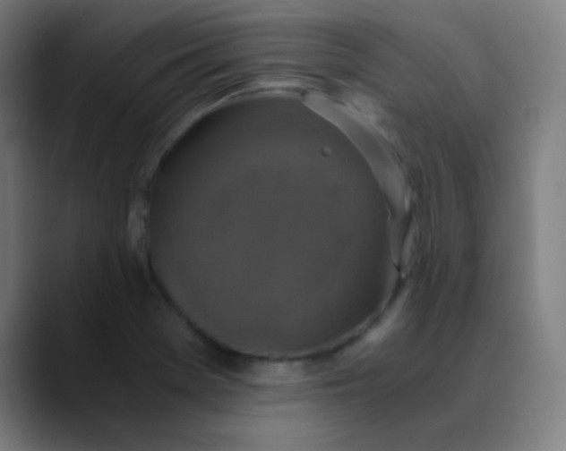 X0000089731369200707121441