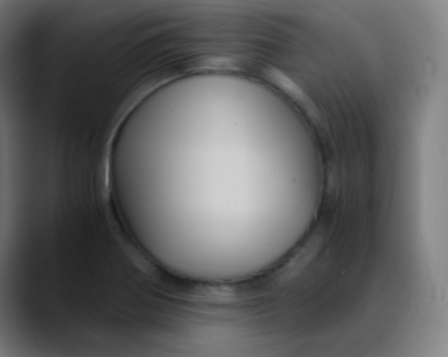 X0000089731370200707121441