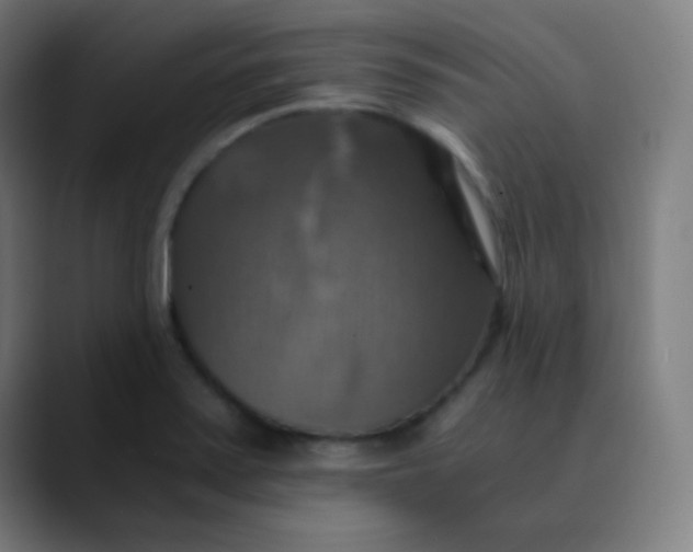 X0000089731371200707121441