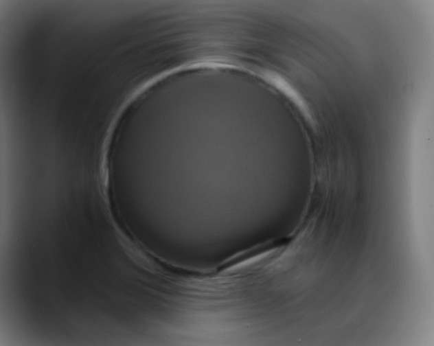 X0000089731372200707121441