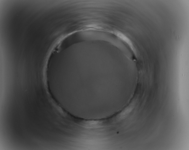 X0000089731373200707121441