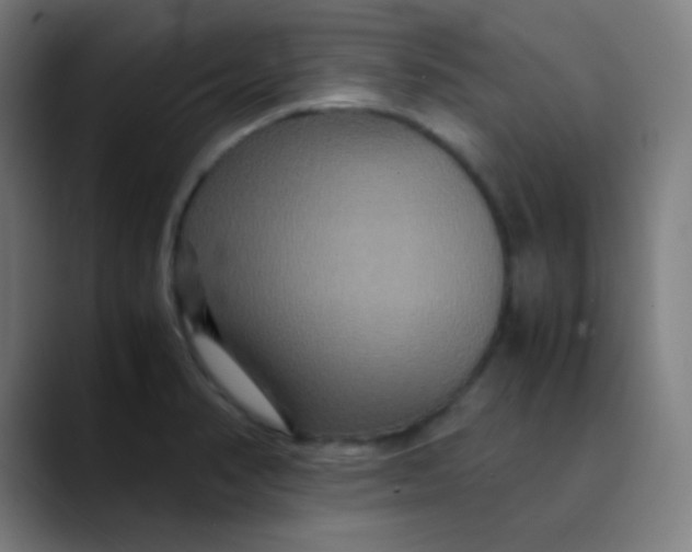 X0000089731374200707121441