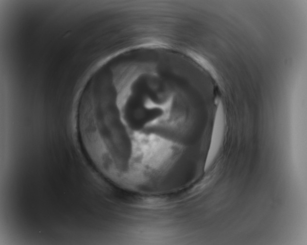 X0000089731375200707121441