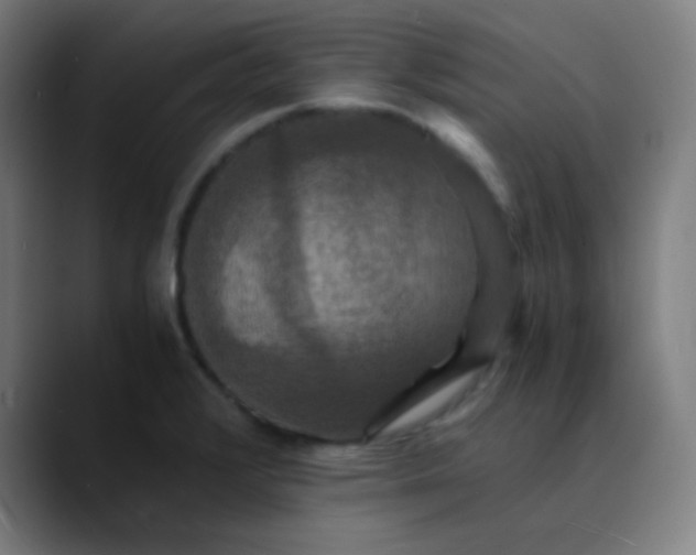 X0000089731376200707121441