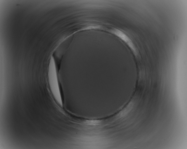 X0000089731377200707121441