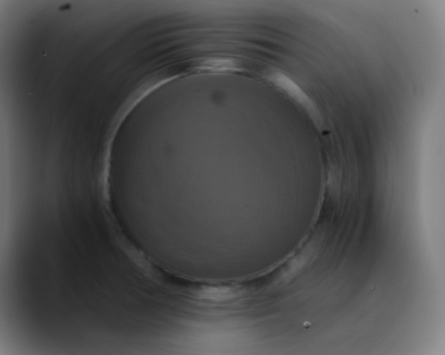 X0000089731378200707121441