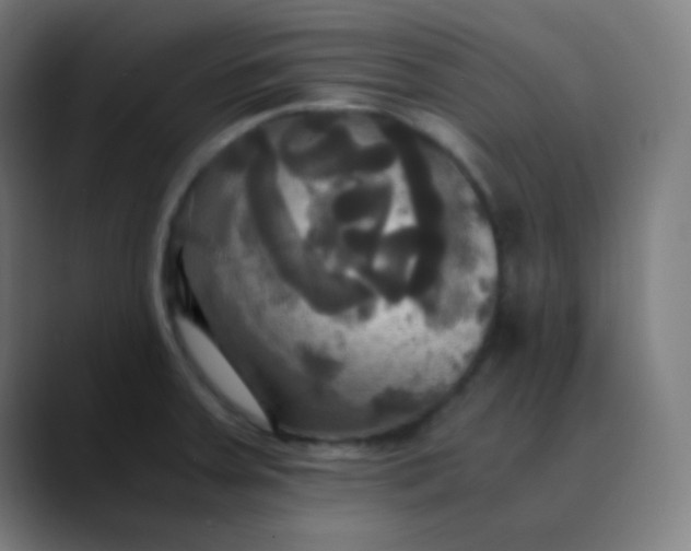 X0000089731379200707121441