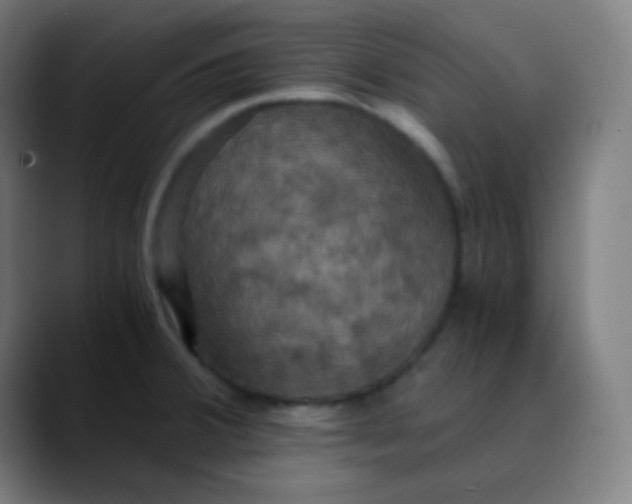 X0000089731380200707121441
